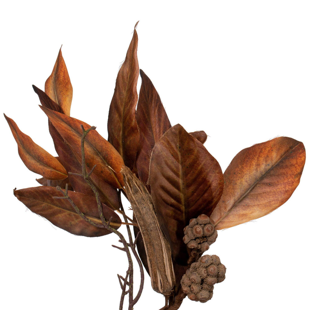 Vickerman 24" Brown Magnolia Leaf Wreath