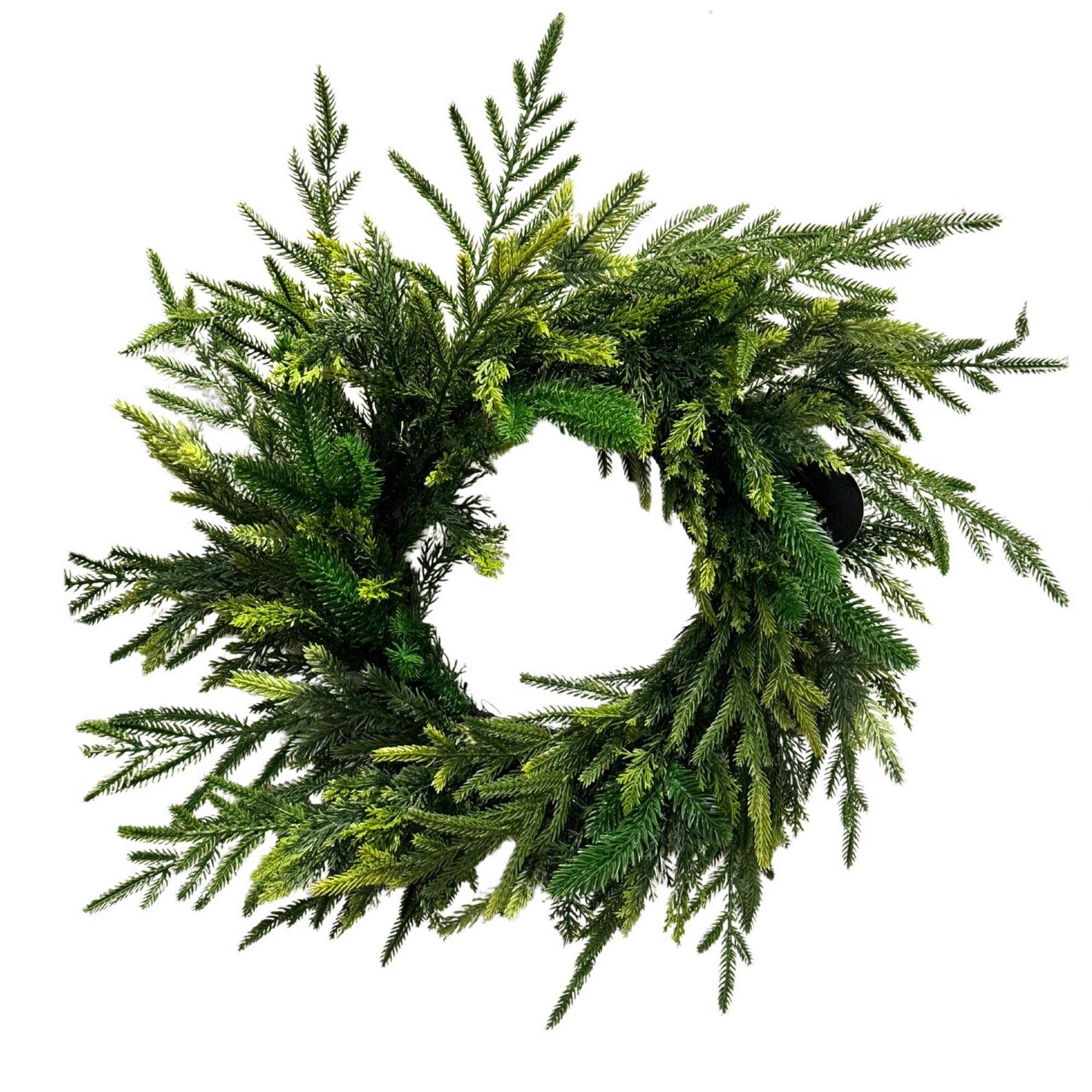 Mixed Pine w/ Soft Touch Norfolk and Cedar Wreath 24"