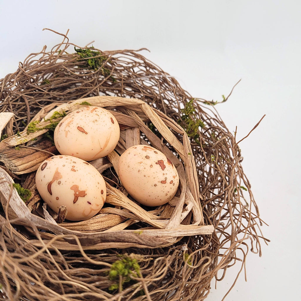 Lightly Mossed Bird's Nest 5”