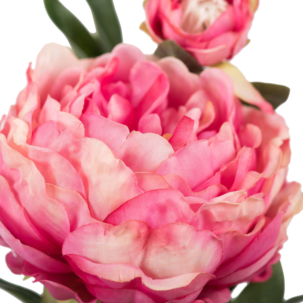 Vickerman 24" Artificial Pink Peony Stem, Set of 3