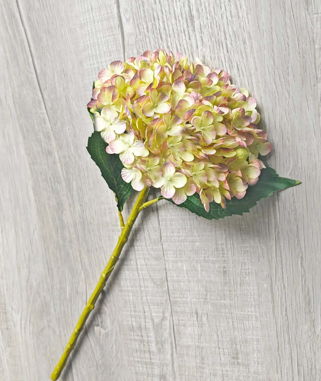 Hydrangea Stem 18" Cream/Lavender