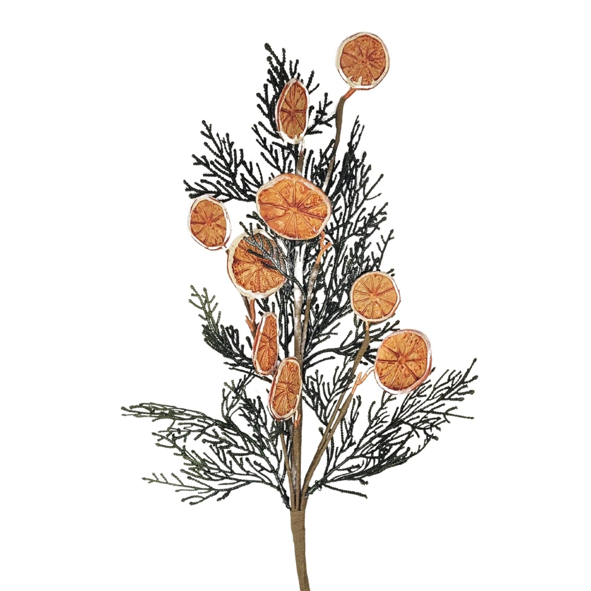 Fern Orange Slice Spray 24”