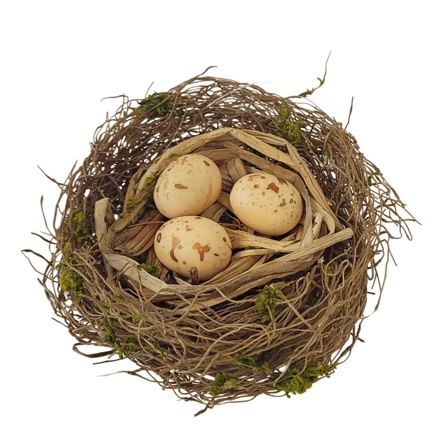 Ligtly Mossed Bird's Nest