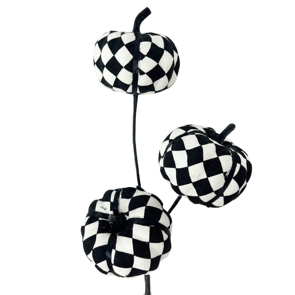 Harlequin Pumpkin Pick x3 - 12"