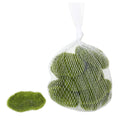 Vickerman Moss Rocks Bag of 36 Assorted