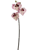 Phalaenopsis Orchid Spray Blush | 30"