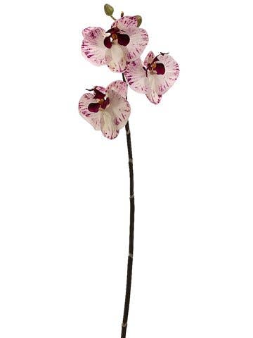Phalaenopsis Orchid Spray Blush | 30"