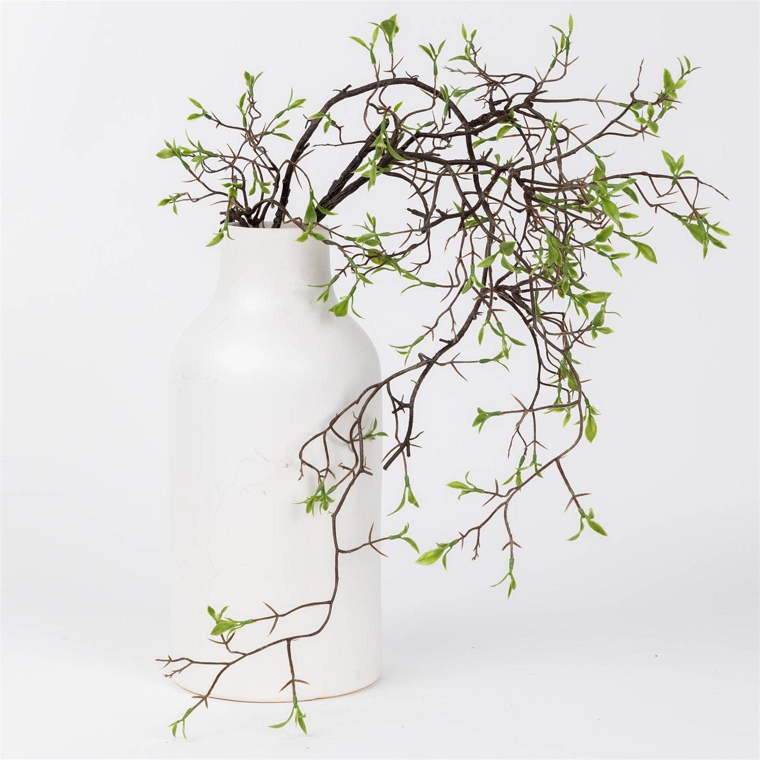 Stem - Early Spring Vine (PK/12)