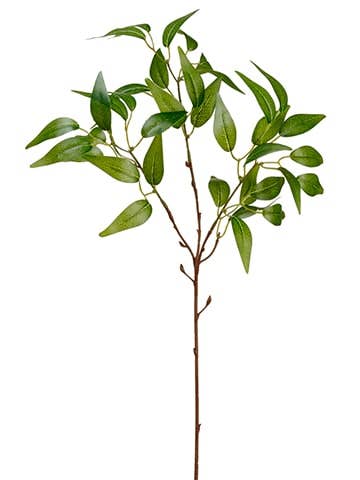 Ruscus Spray Green | 26"