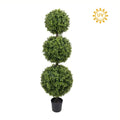 Boxwood Topiary Tree 48"
