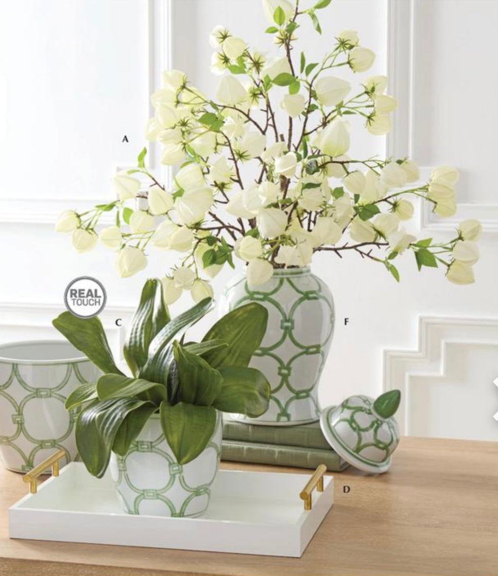 Green & White Ceramic Ginger Jars