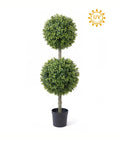 Boxwood Topiary Tree 37"