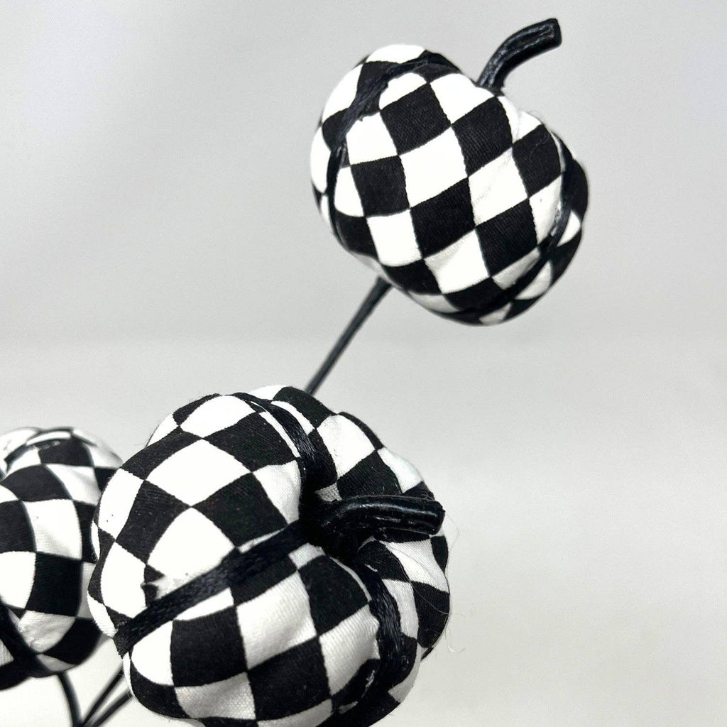 Harlequin Pumpkin Pick x3 - 12"