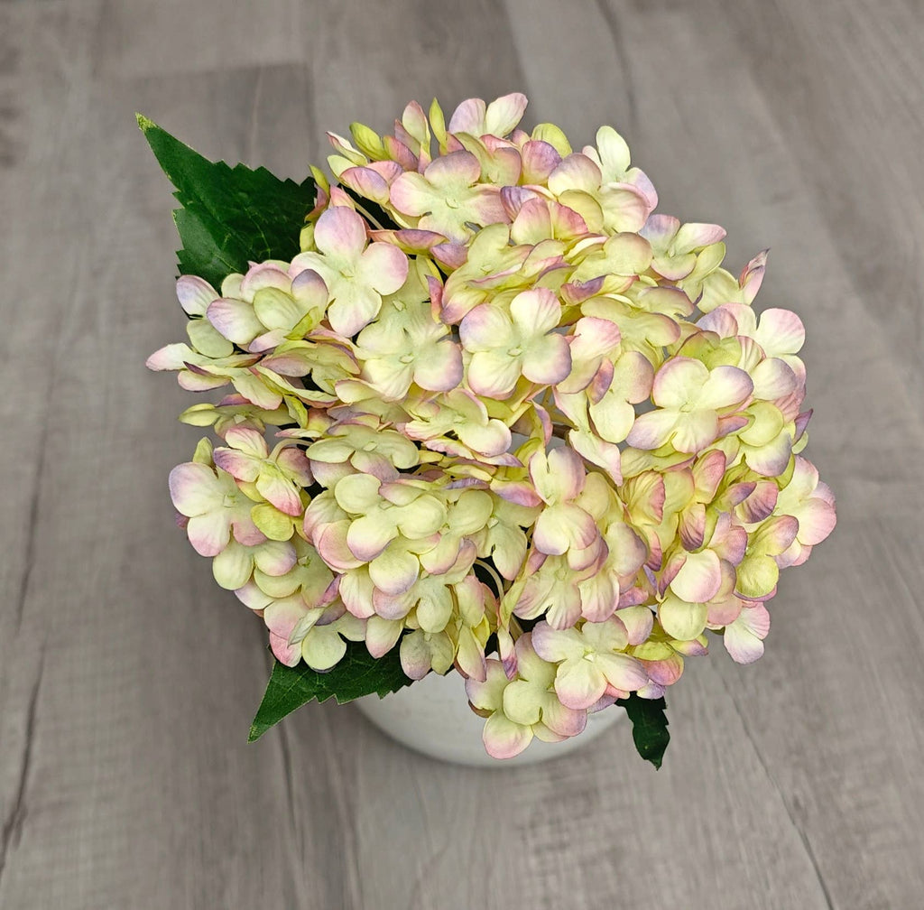 Hydrangea Stem 18" Cream/Lavender