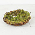 Twiggy Bird Nest-Moss